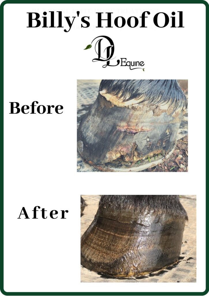 Billy's Hoof Oil