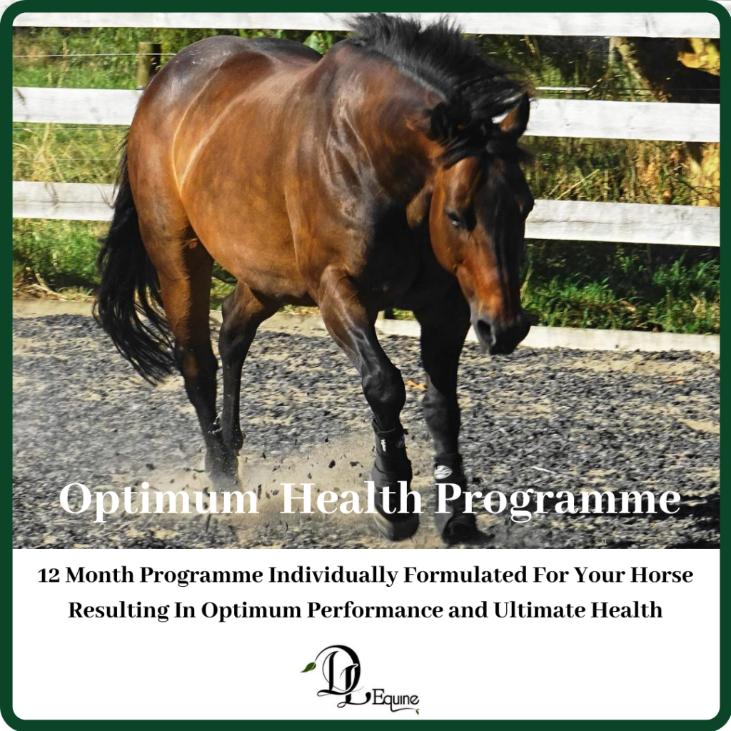 Optimum Horse health programme DL Equine