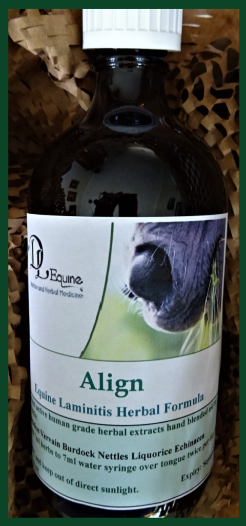 DL Equine Align Laminitis Herbal Formula