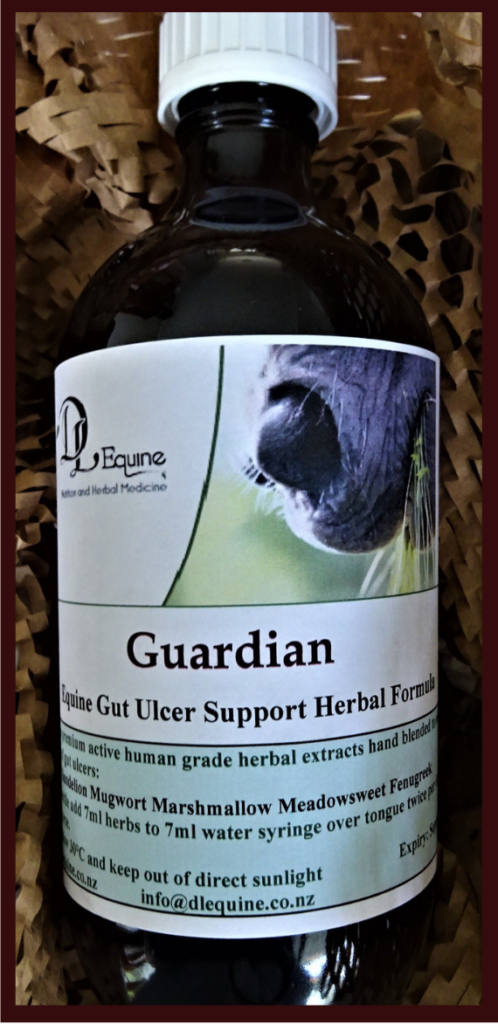 DL Equine Guardian Gut Ulcer Herbal Formula