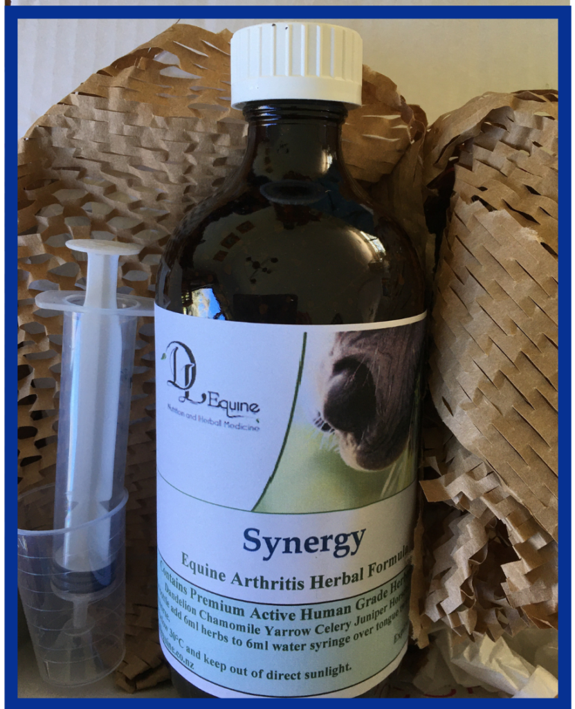 DL Equine Arthritis Herbal Formula Synergy