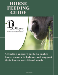 E book feeding guide