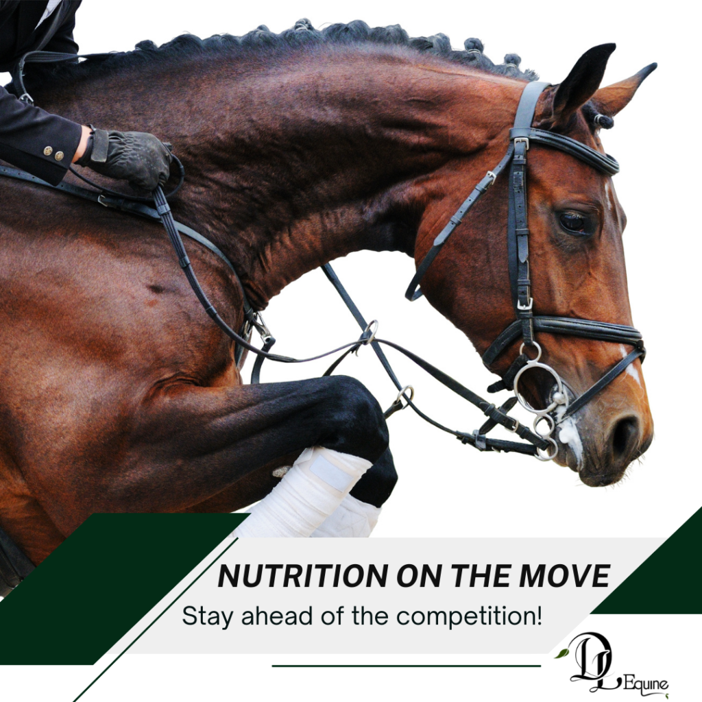 DL Equine Nutrition on the Move Programme