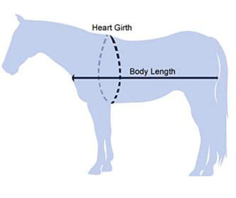 Horse weight measurements