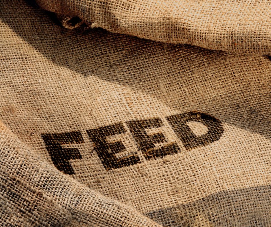 Horse Feed Ingredients And Choosing The Right Ones For Your Horse DL horse-feed-ingredients-and-choosing-the-right-ones-for-your-horse-dl