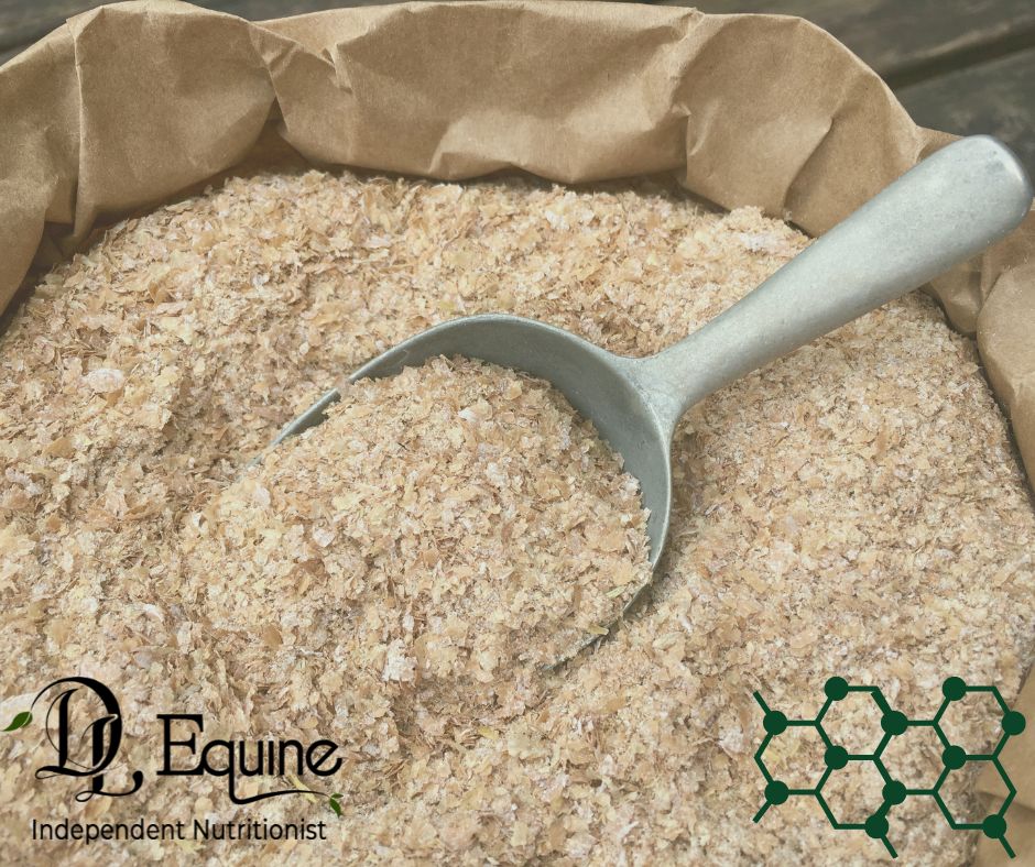 Bran Mash for horses DL Equine