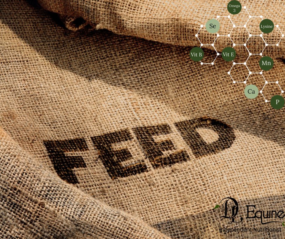 Horse Feed Ingredients and choosing the Right ones for your horse DL