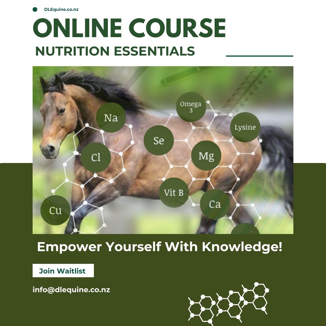 Independent Equine Nutritionist over 20 years exp. NZ wide