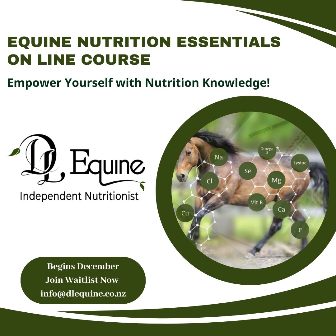 Equine Essentials Course (2)