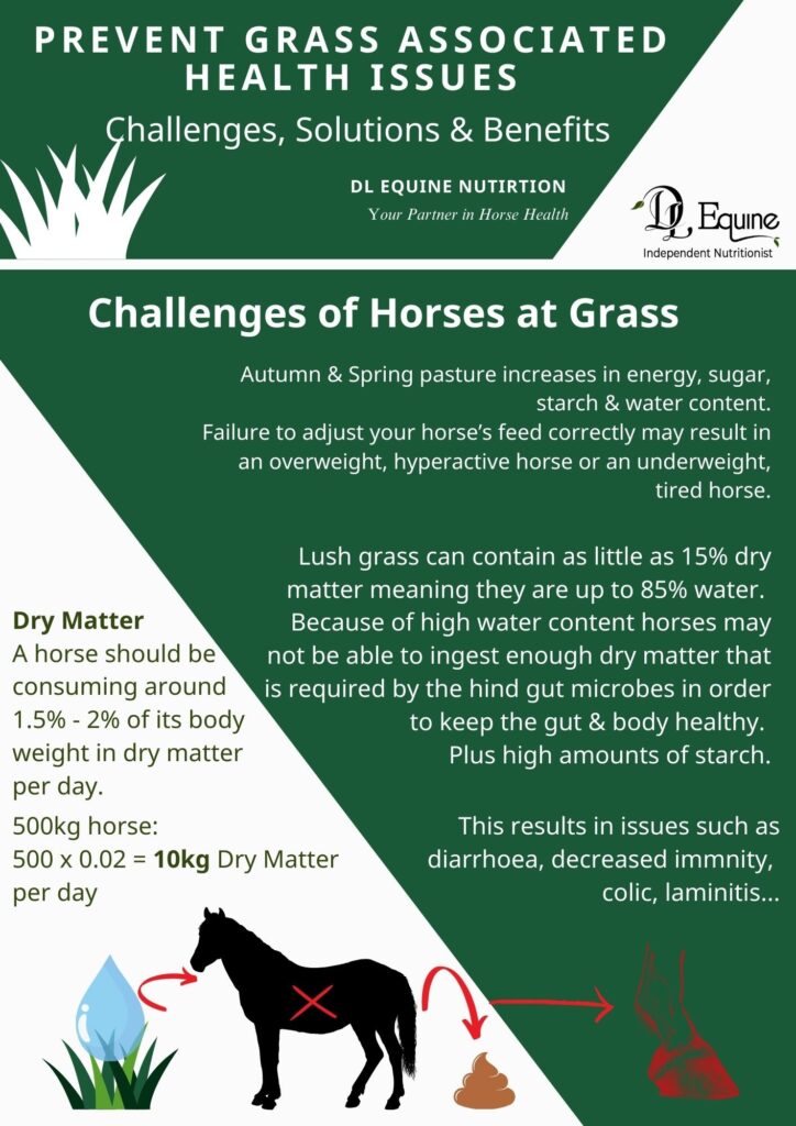 Grass issues
